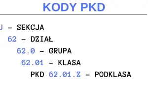 Jakie PKD do BDO? Poznaj kody, które mogą Cię zaskoczyć