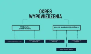 Schemat przedstawia okresy wypowiedzenia umów wg Kodeksu pracy: próbne, na czas nieokreślony, z różnymi okresami.