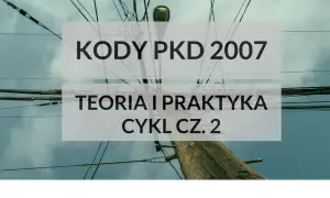 Ile kodów PKD można wpisać do KRS? Poznaj ważne ograniczenia