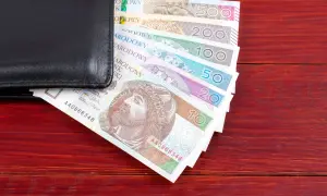 Czarny portfel z polskimi banknotami: 10, 20, 50, 100, 200, 500 zł. Pytanie, czy alimenty się przedawniają, nurtuje wielu.