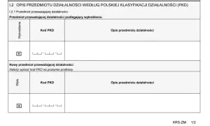 EKD i PKD - co to jest i dlaczego jest to ważne dla firm?