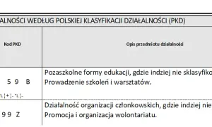 Stowarzyszenie jakie PKD: uniknij błędów przy wyborze kodów działalności