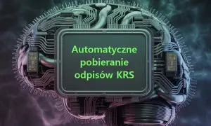 Jak łatwo pobrać wyciąg z KRS i uniknąć zbędnych problemów