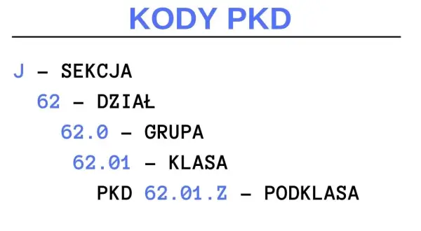 Jakie PKD do BDO? Poznaj kody, które mogą Cię zaskoczyć