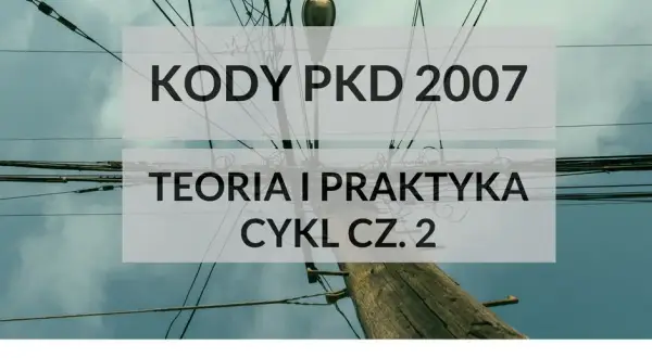 Ile kodów PKD można wpisać do KRS? Poznaj ważne ograniczenia