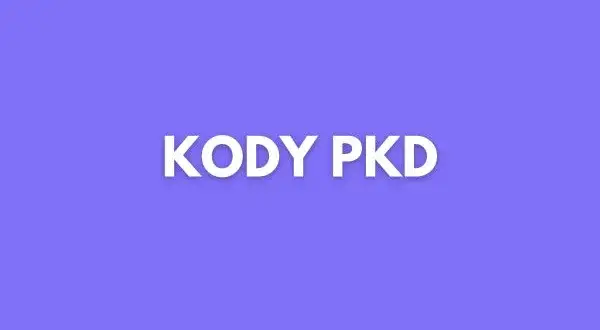 Jaki kod PKD dla sprzedaży internetowej? Uniknij błędów w rejestracji