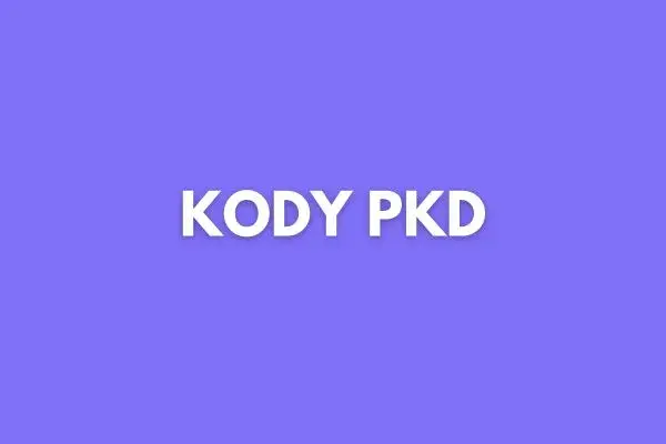 Jaki kod PKD dla sprzedaży internetowej? Uniknij błędów w rejestracji