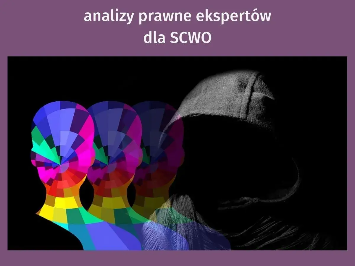 Kolorowe sylwetki głów, symbolizujące analizy prawne, znikają w cieniu postaci w kapturze. Zgoda na rozpowszechnianie wizerunku.