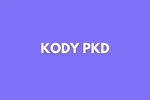 Zdjęcie Jak ustalić kod PKD dla swojej działalności i uniknąć problemów prawnych