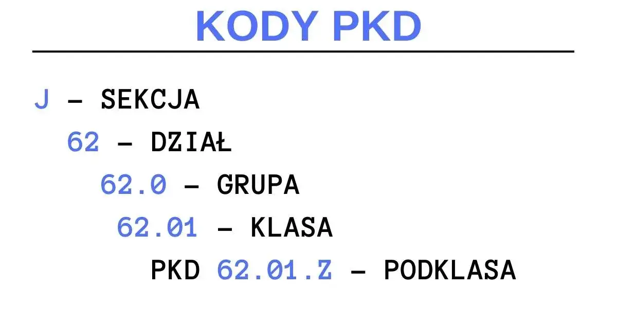 Zdjęcie Jaki kod PKD dla sprzedaży internetowej? Uniknij błędów w rejestracji